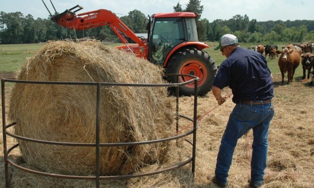 Hay Production Should Consider Quality Over Quantity