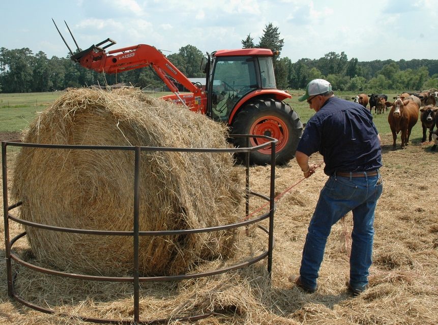 Hay Production Should Consider Quality Over Quantity