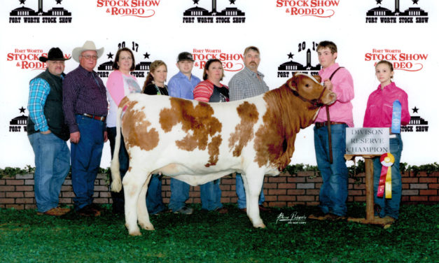 Grounds Takes First at Fort Worth Stock Show