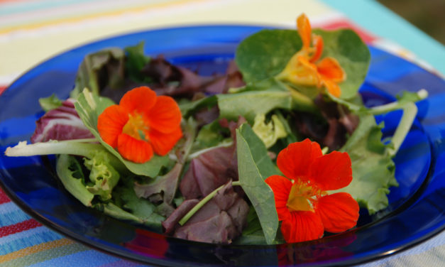 From the Garden to the Party