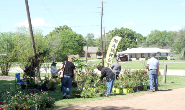 Fairfield Market Days This Weekend – Flower Garden & Herb Fest