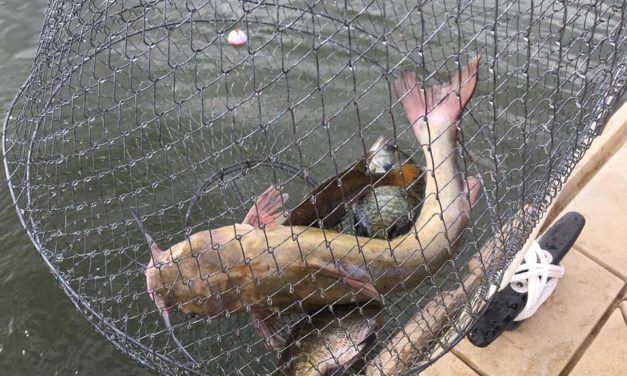 Fishin’ & Fun at Fairfield Lake State Park
