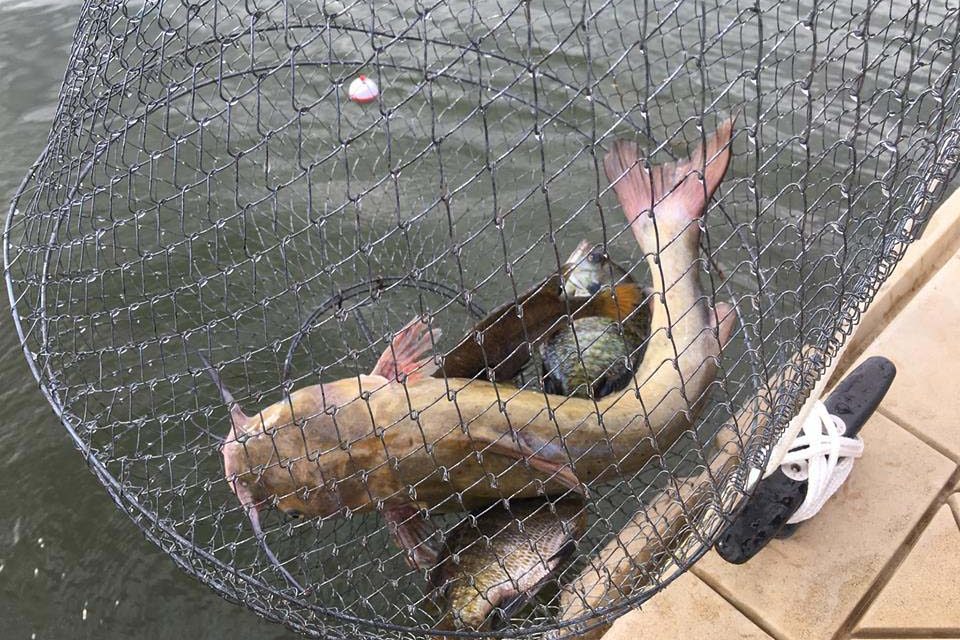 Fishin’ & Fun at Fairfield Lake State Park
