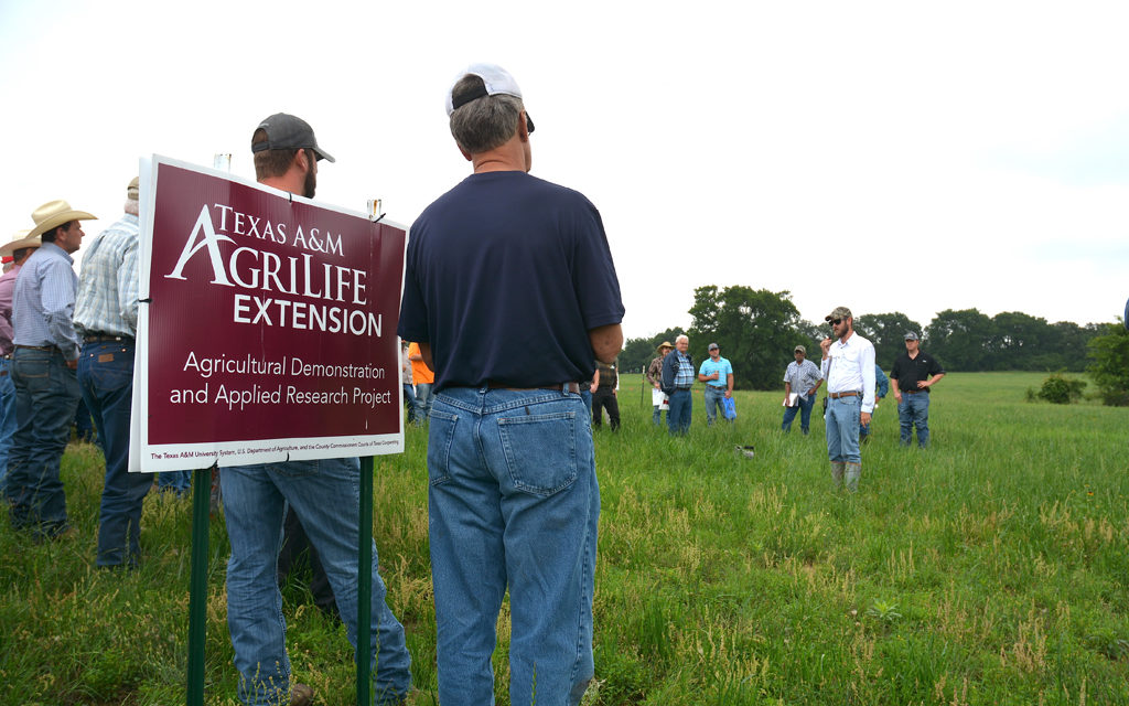 O.D. Butler Field Day Highlights Hay Production, Pasture Management