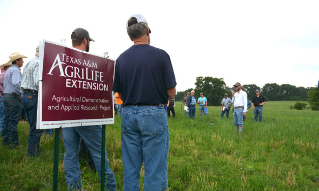 O.D. Butler Field Day Highlights Hay Production, Pasture Management