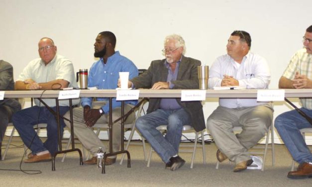 Council Candidates Agree on City Issues