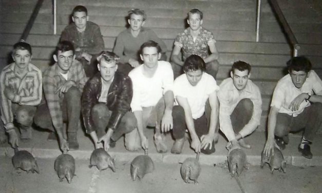 Meet the Celebrity Armadillo Racers