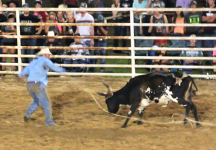 Enjoy Youth and Professional Rodeos during County Fair Week