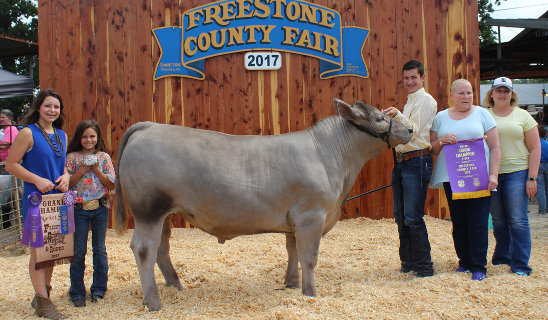 Youth Livestock Sale Earns Over $400,000