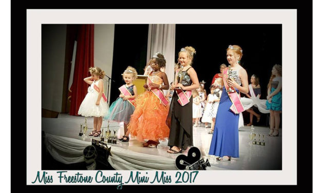 Little Miss Crowned at Mini County Fair Pageant