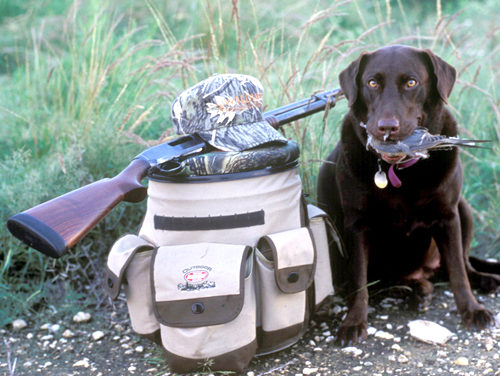 Woods, Waters, & Wildlife – The Smell of August