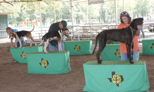 26th Annual American Heritage Coon Hunt & Bench Show Results