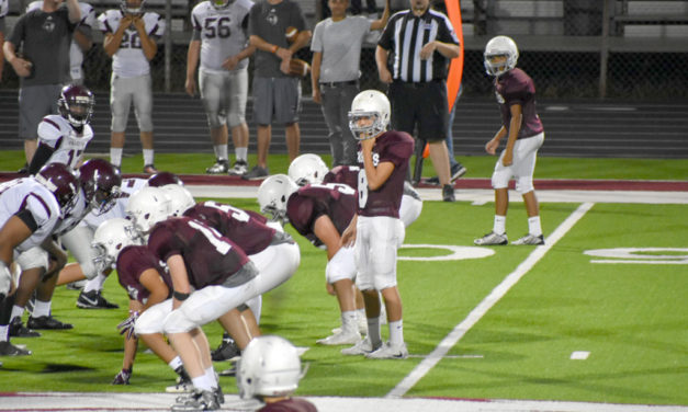 Eagle Fan of the Week: Photos by Robin Smith