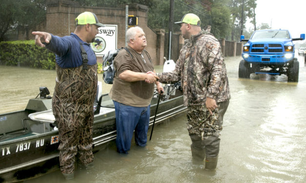 Woods, Water and Wildlife:  Hold Your Ears!