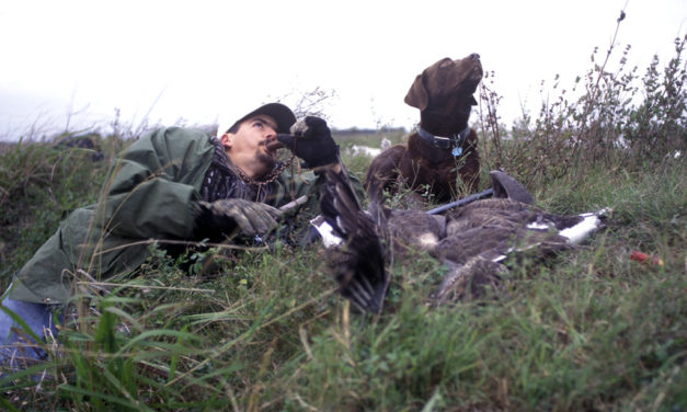 Woods, Waters, & Wildlife: Somewhere Between Altair & Nada. 6:30 a.m.