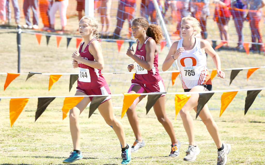 Lady Eagles Advance to State in Cross Country Competition