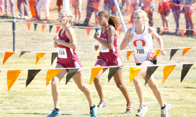 Lady Eagles Advance to State in Cross Country Competition