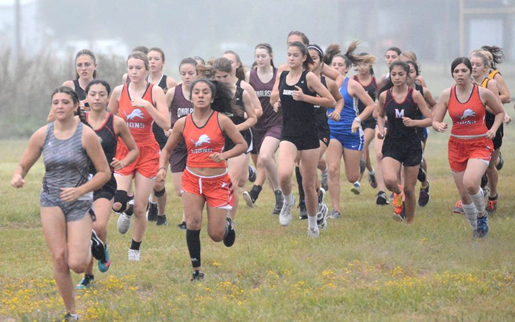 Lions Cross Country Takes Off