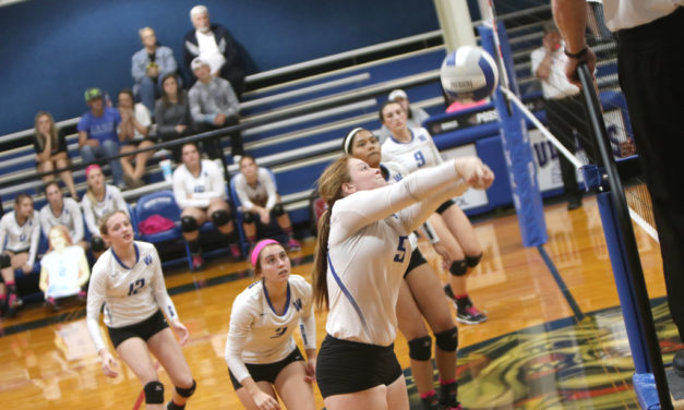 Lady Dawgs Remain Undefeated