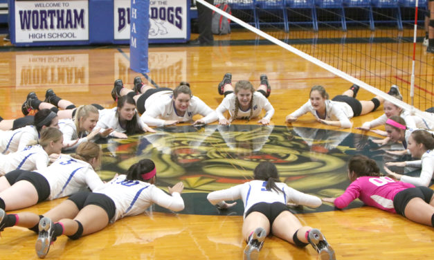 Lady Dawgs Killing It