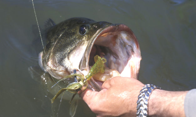 Woods, Waters, & Wildlife – October 11