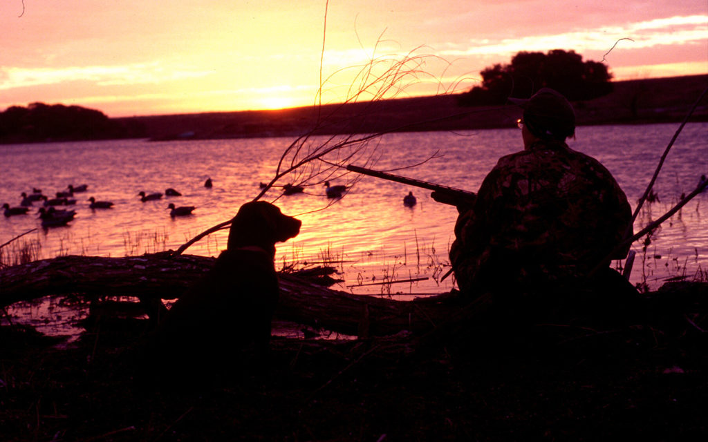 Woods, Waters and Wildlife:  Duck Hunting Dangers