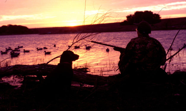 Woods, Waters and Wildlife:  Duck Hunting Dangers