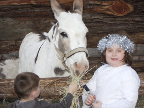 Nativity Drama Performed December 1st & 2nd, 2018 in Fairfield