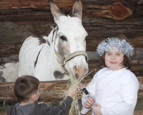 Nativity Drama Performed December 1st & 2nd, 2018 in Fairfield