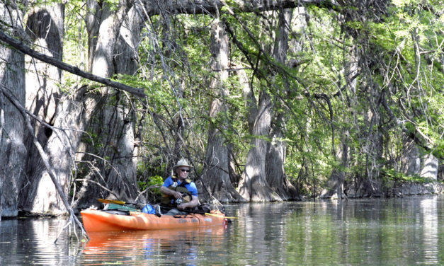 Woods, Waters, & Wildlife: Fine Fall Fishing