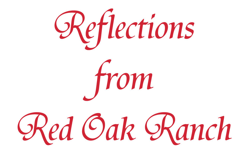 Reflections From Red Oak Ranch – Jan. 23, 2019