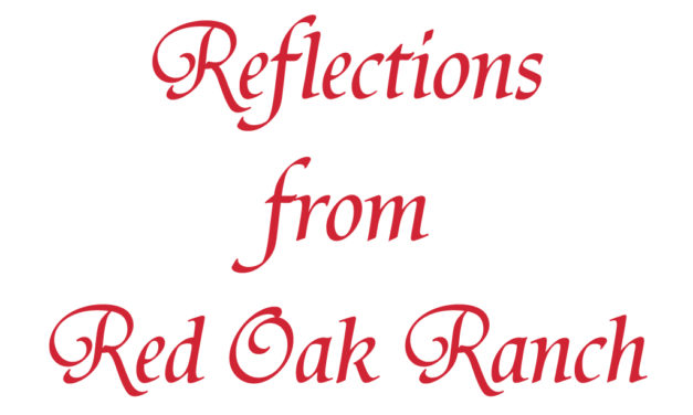 Reflections From Red Oak Ranch