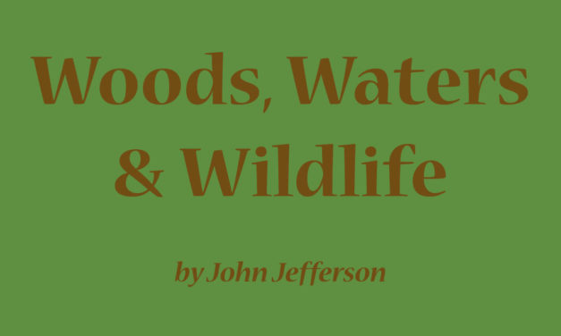 Woods, Waters, & Wildlife: Spring Spawn of the Whites