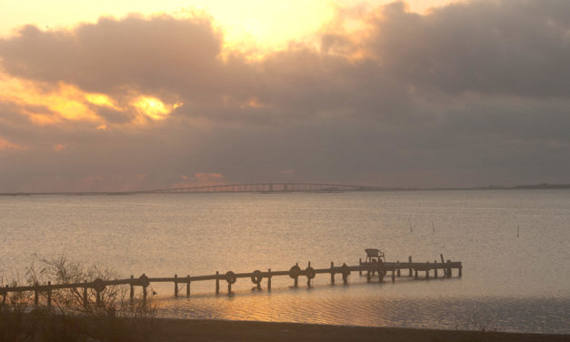 Woods, Waters, & Wildlife: Too Cold to Fish?