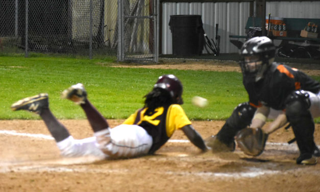 Baseball Season in Full Swing – Eagles Defeat Panthers