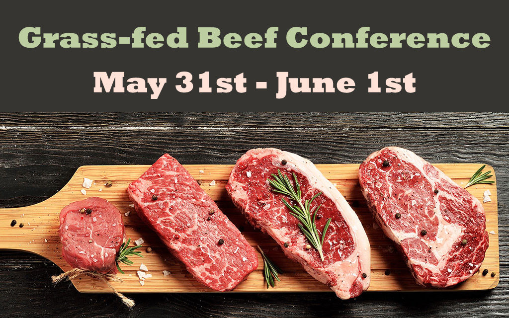 Grass-Fed Beef Conference Set