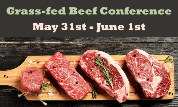 Grass-Fed Beef Conference Set