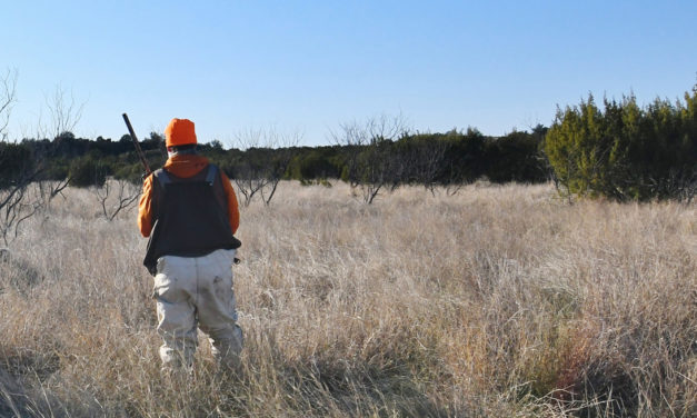 Parts of the State Enter Wildfire Season Early