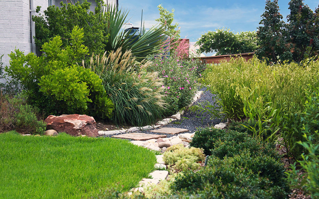 ‘Find’ More Water Through Landscaping Techniques