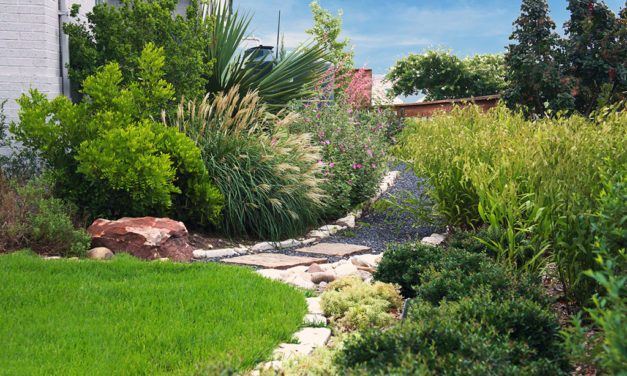 ‘Find’ More Water Through Landscaping Techniques