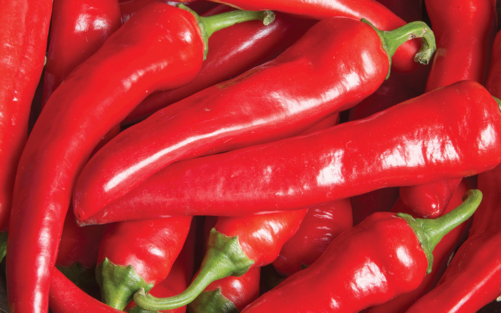 Hottest Pepper Varieties to Try This Year