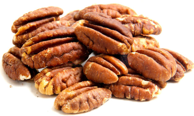 Pecan Grafting Workshop April 25th in Waco