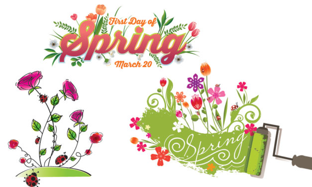 Freestone County Readies for Spring Projects