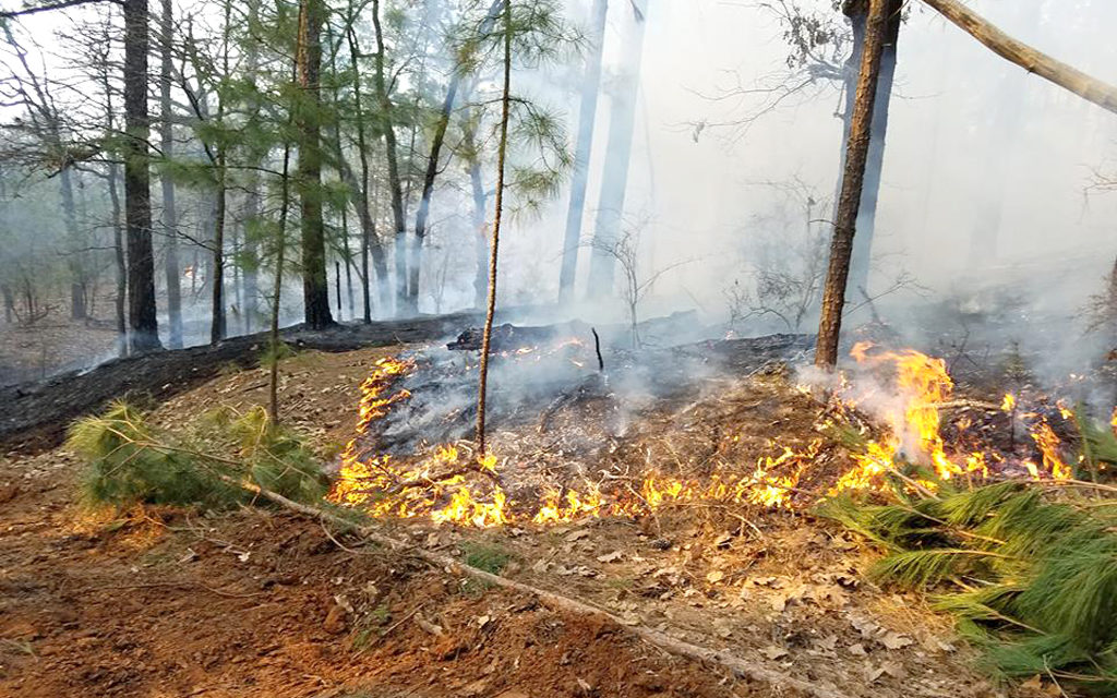 Controlled Burns Cause Chaos for Firefighters