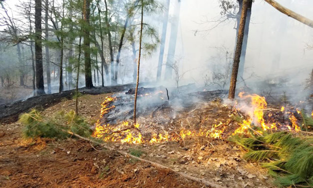 Controlled Burns Cause Chaos for Firefighters