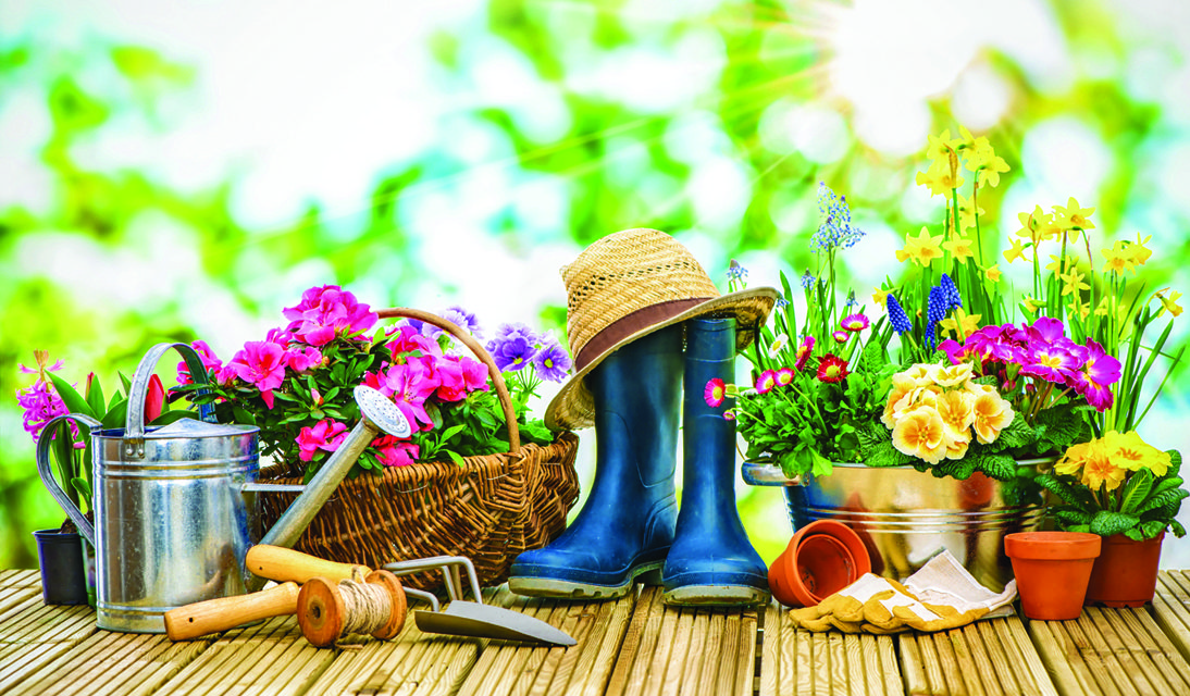 Spring Projects:  The Right Tools for the Job