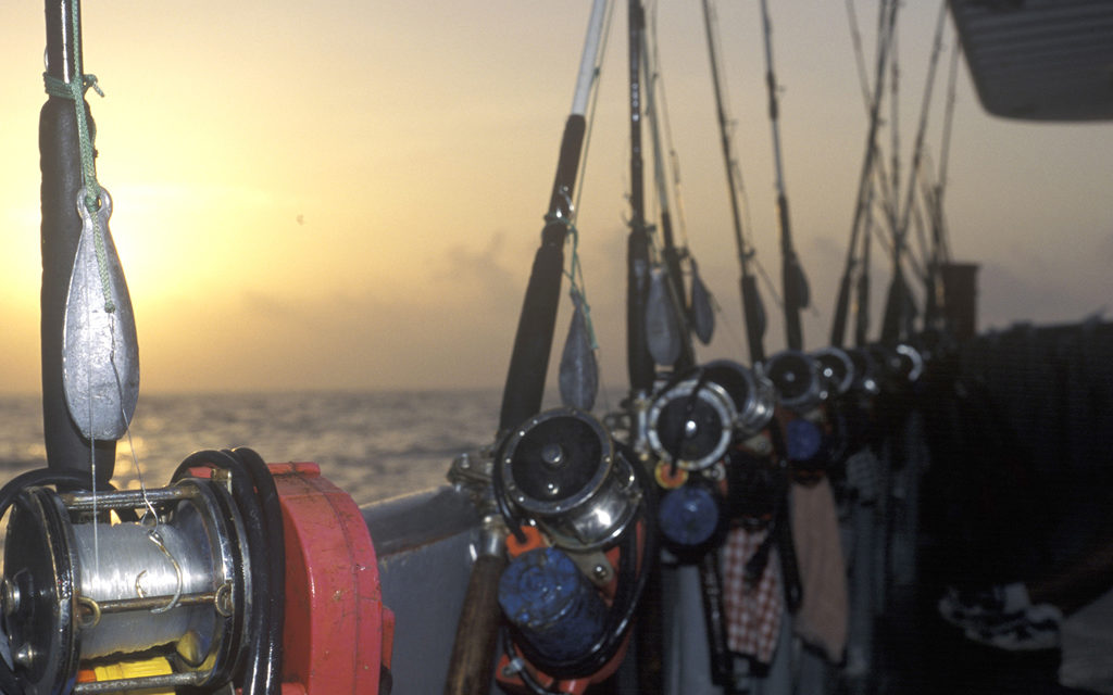 Woods, Waters,  Wildlife: Snapper Season Expanded