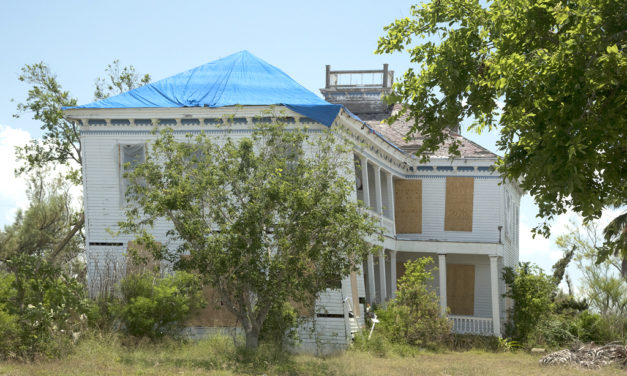 Woods, Waters, & Wildlife: The Coast is Clear-ing