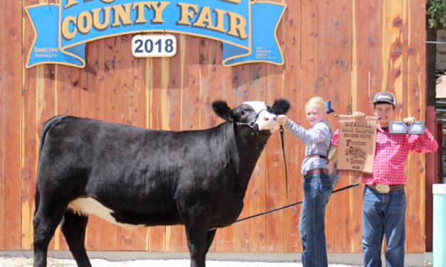 2018 Livestock Breeding Shows & Showmanship