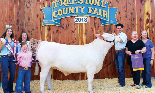 More Than Half A Million Spent At County Livestock Sale